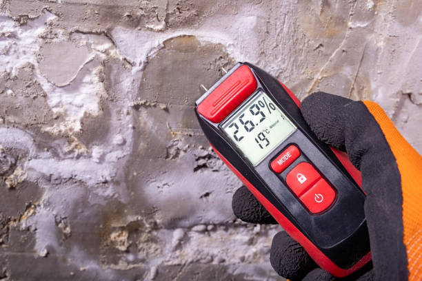 Best Mold Testing  in Ironde, AL