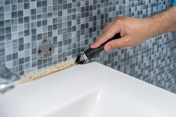 Best Mold Removal and Inspection  in Ironde, AL
